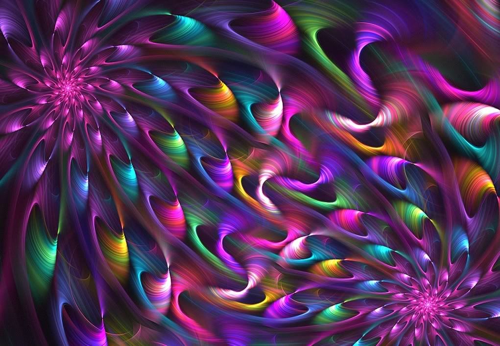 Jewel Tones Photo by shawn_n_diane Photobucket